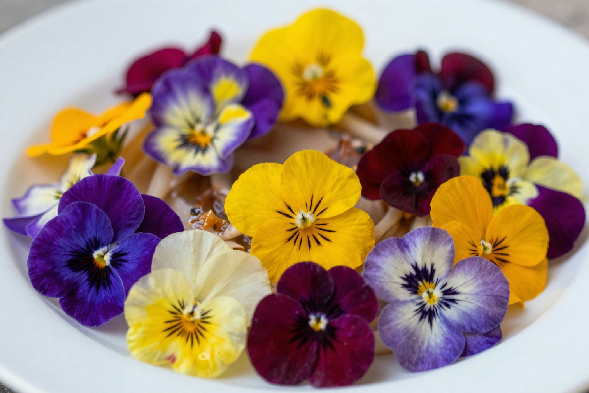 Fiori commestibili nel piatto: un italiano su 4 li utilizza sempre di più. Ecco come impiegarli